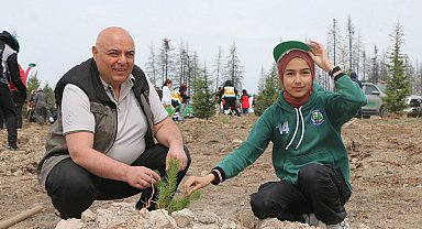 Gerede'de yanan ormanlık alan küllerinden yeniden doğuyor