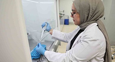 Gıda bileşenlerinde bağışıklık güçlendirici yeni formüller denenecek