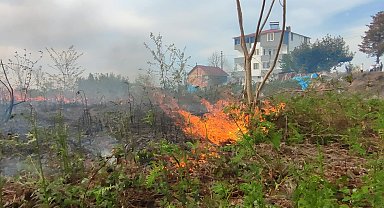 Giresun'da örtü yangını korkuttu