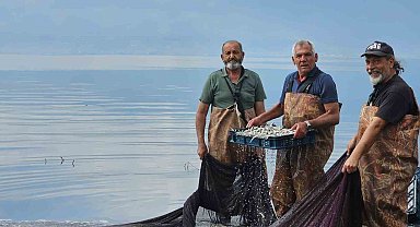 Gümüş balığının ihracat serüveni başladı
