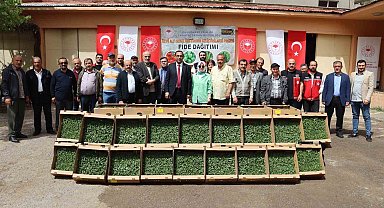 Gümüşhane'de 322 bin 398 sebze fidesi toprakla buluşacak