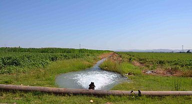 Güneydoğu'da çiftçilerin elektrik borcu 27 milyara ulaştı