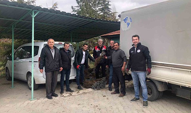 Günyüzü'nde üzüm projesi hayata geçti