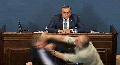 Gürcistan parlamentosunda yumruklu kavga