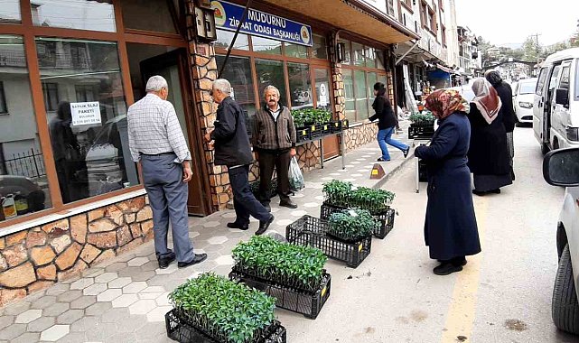 Havalar ısındı fidelerin ekim zamanı geldi