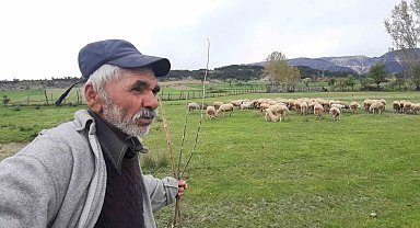Havaların ısınmasıyla küçükbaş hayvanlar meralara çıkmaya başladı