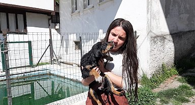 Havuzda boğulmak üzere olan yavru köpeği vatandaşlar kurtardı