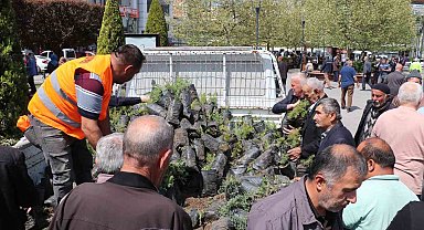 Havza'da bin 500 fidan dağıtıldı