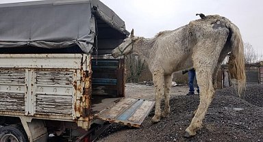 Hayvanlara kötü davranan ve kaçak avlanan 62 kişiye 788 bin TL ceza