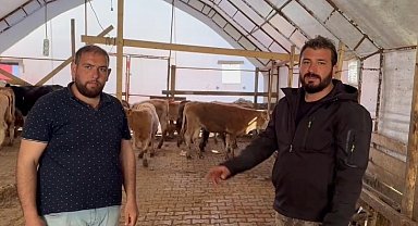 Hayvanları yangında telef oldu, el ele veren vatandaşlar 14 büyükbaş hediye etti