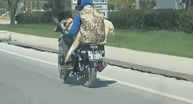 Hem kendi canlarını hem köpeği tehlikeye attılar