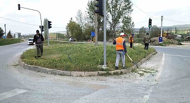 Hisarcık'ta yabani ot biçme çalışması