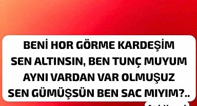 Hulusi Şevkan'dan Aşık Veysel'li gönderme