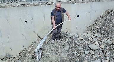İnşaat çukuruna düşen çakal doğaya salındı