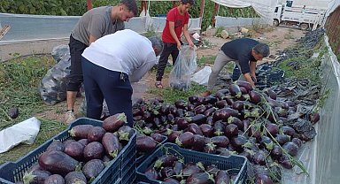 İsraf olacak ürünleri bağışladılar