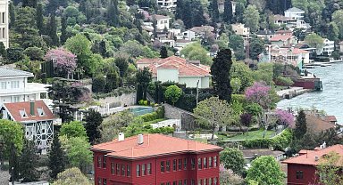 İstanbul'u erguvan ağaçları süsledi
