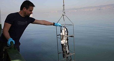 İzmit Körfezi'nde biyoçeşitlilik araştırması sürüyor