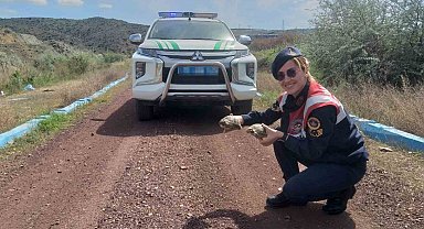 Jandarma ekiplerinin 'kaplumbağa' mesaisi