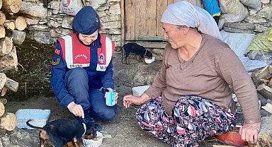 Jandarma'dan sokak hayvanları için 'Bir gün değil, her gün' mesajı