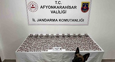 Jandarmadan uyuşturucu operasyonu