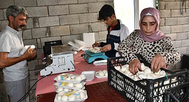 Kadın girişimci evinin önünde kurduğu serada mantar yetiştiriyor