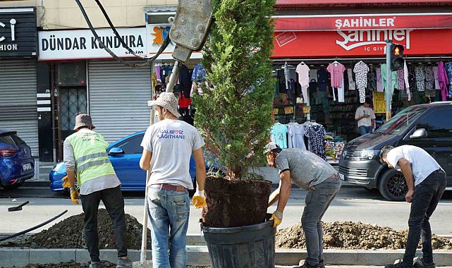 Kağıthane Belediyesi ilçeye 60 bin ağaç kazandırdı