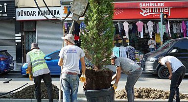 Kağıthane Belediyesi ilçeye 60 bin ağaç kazandırdı