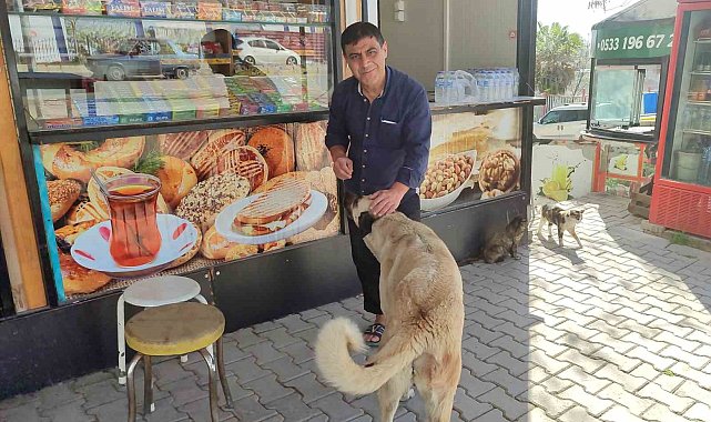Kahramanmaraşlı esnaf, her gün büfesinin önüne gelen hayvanları besliyor