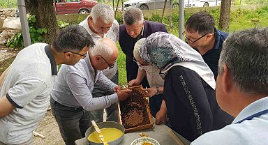 Karabük'te üreticiler ana arı yetiştirmenin püf noktalarını öğrendi