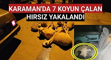 Karaman'da 7 Koyun Çalan Hırsız Yakalandı