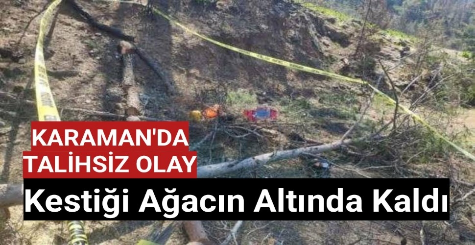 Karaman'da Kestiği Ağaç Üzerine Düştü