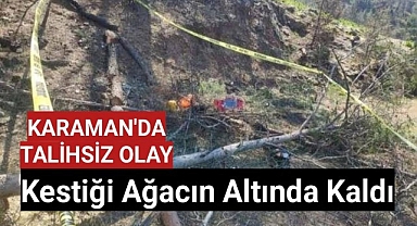 Karaman'da Kestiği Ağaç Üzerine Düştü