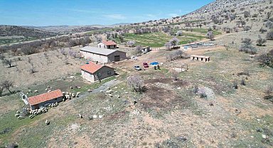 Kayıp koyunları dron ile buldular