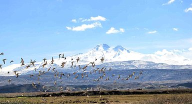 Kayseri'nin doğal kuş cenneti baharı müjdeliyor