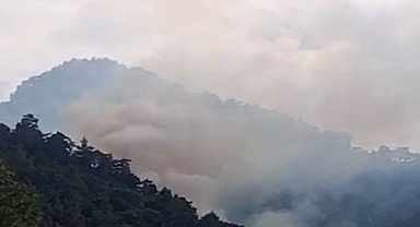 Kemer'de orman yangını