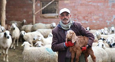 Kendisine oy vermeyen baldızı ve bacanağına şiir yazmıştı, film teklifi aldı