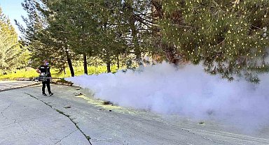 Kent genelinde ilaçlama çalışmaları başladı