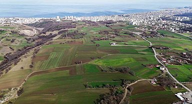 Kentsel Dönüşüm Başkanlığı Samsun'da 314 arsayı satışa çıkarıyor