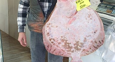 Kilosu bin 200 liradan tezgaha indi, ilgi odağı oldu