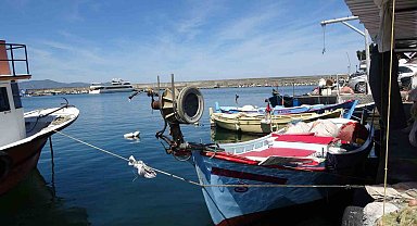 Kıyı balıkçılığı yapanların sayısında azalış tedirgin ediyor