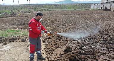 Kocasinan'dan huzurlu bir yaz için haşere ile mücadele