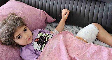 Köpeğin ısırdığı kız çocuğu: "Köpek de sahibi de tutuklansın"