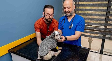 Köpek Max, ameliyatla hayata tutundu