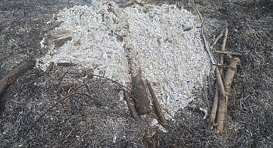 Küçük bir dikkatsizlik sonucu çıkan orman yangını korkuttu