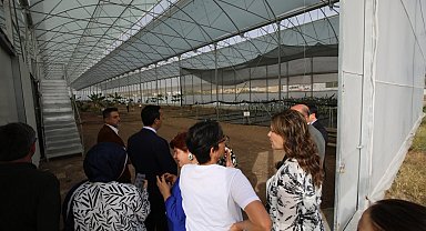 Kumluca MYO'da 17 tropik meyve türü araştırılıyor