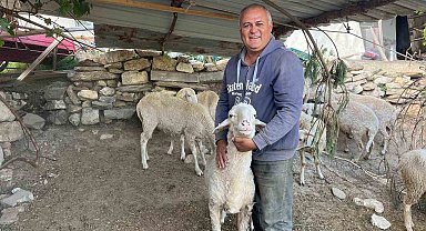 Kurbanlık telaşı erken başladı
