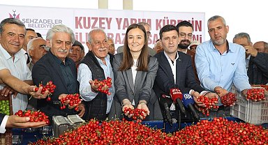 Kuzey yarımkürenin ilk kirazının hasat edildiği Manisa'da üretici umutlu