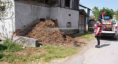Larva ve sinekle mücadele sürüyor