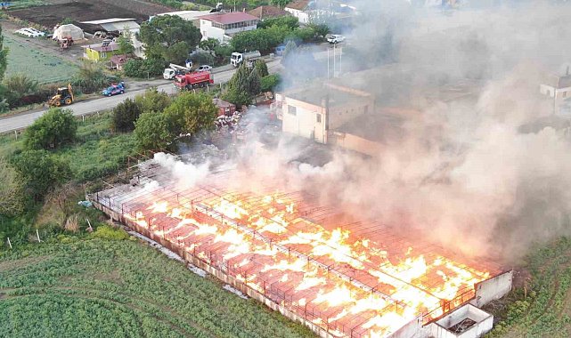 Manisa'da 160 ton kozalak kül oldu