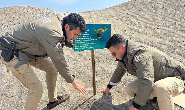 Mersin polisi caretta carettaların üreme alanlarına uyarı levhaları astı